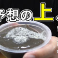 【予想の上！】和三盆の黒ごま餅(ローソン・徳島産業)、上質砂糖！