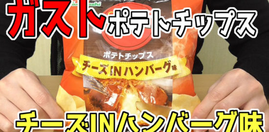 ガスト-ポテトチップス-チーズINハンバーグ味(山芳製菓株式会社)