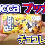 Pucca-プッカ-チョコレート(明治)