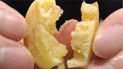 カズチー-数の子チーズ(井原水産)11